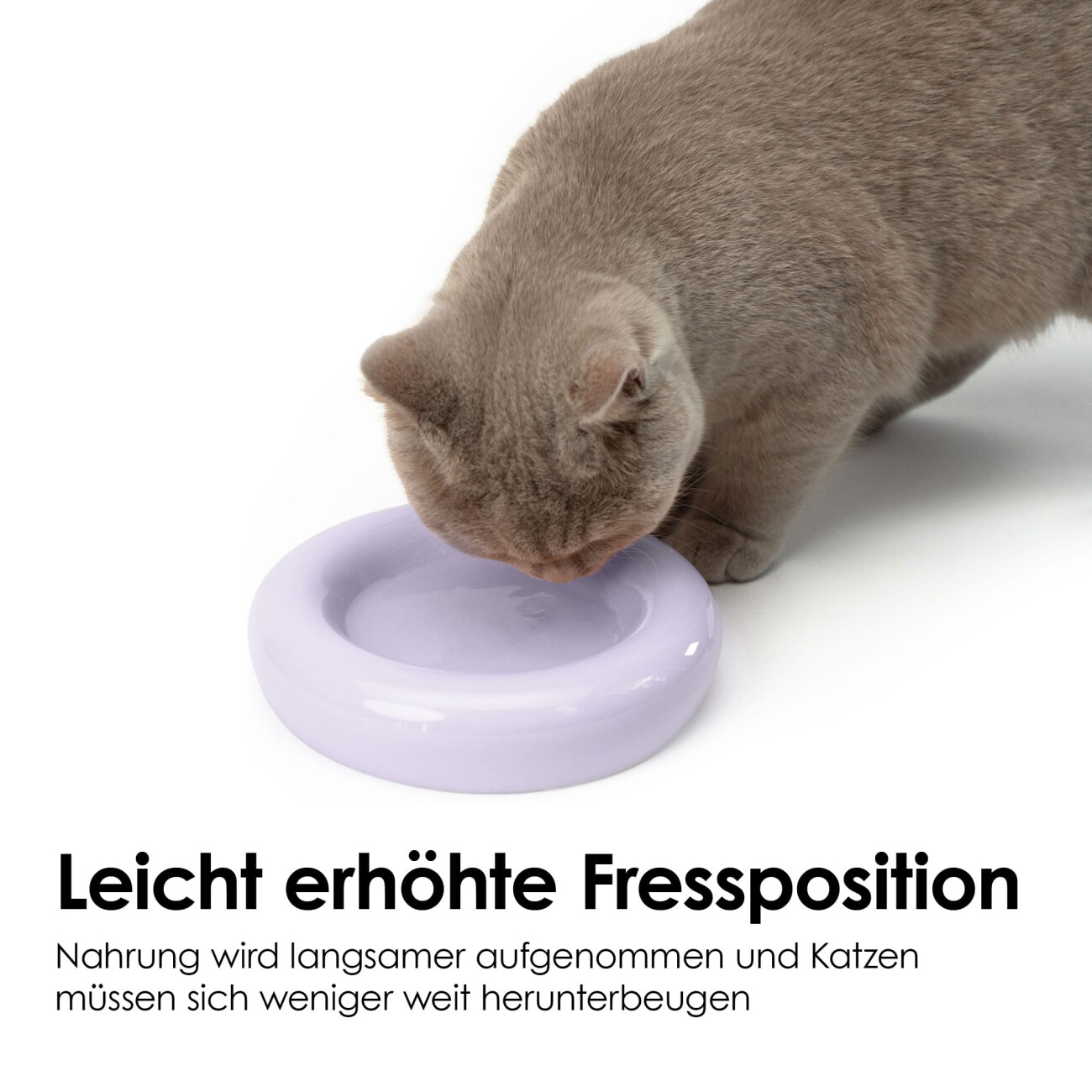 LucyBalu DROP Katzennapf flieder