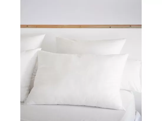 SOFTLINE - Oreiller Coton anti-acariens 50 x 70 cm