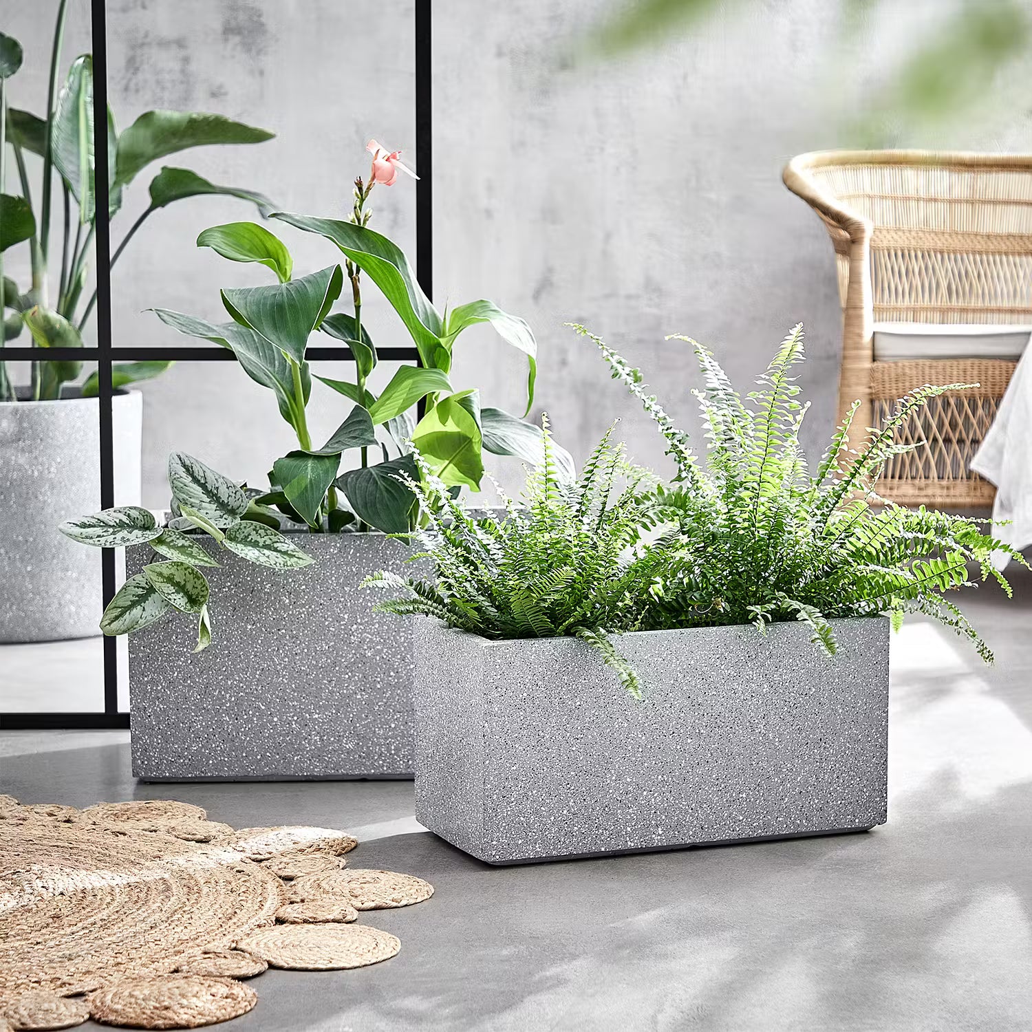CONCRETE Pflanzkasten