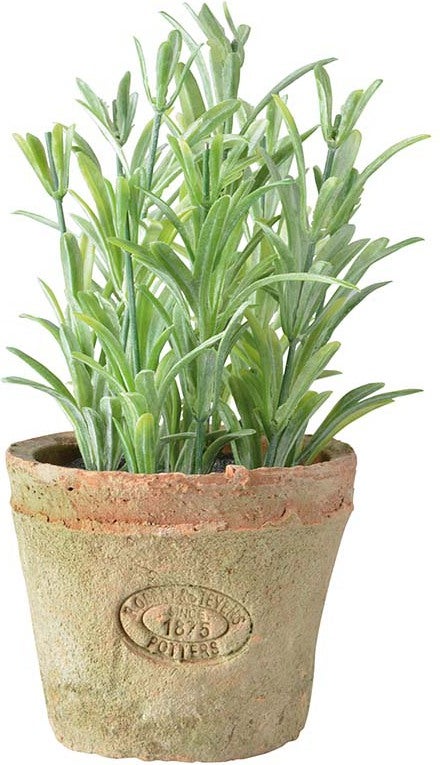 Esschert Design kunstplant Rozemarijn in pot D 10,5 H 16,5 cm