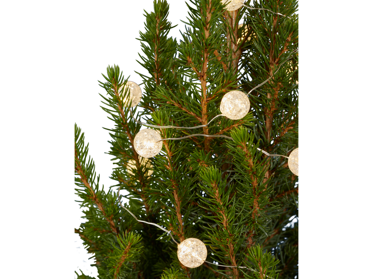 Mini kerstboom met verlichting