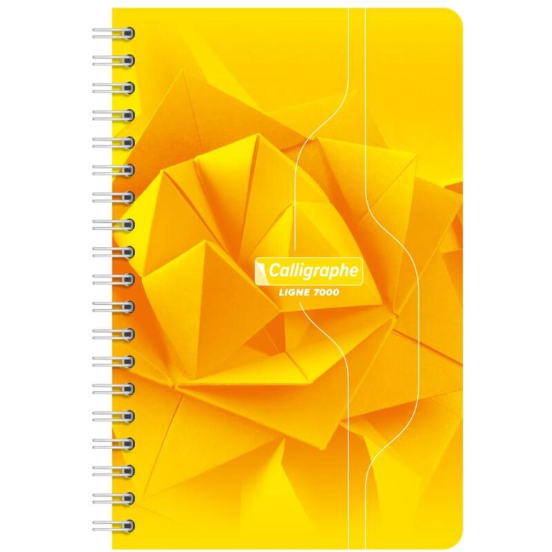 Carnet reliure intégrale 7000 11x17 cm 100 pages petits carreaux 70 g - Assortis