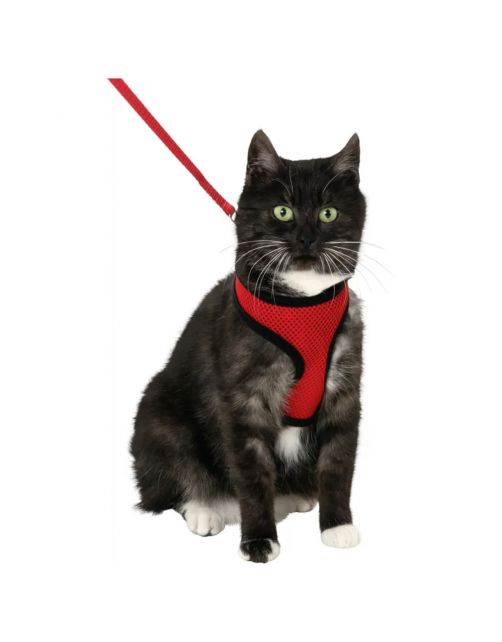Flamingo Harms Kittentuig + Lijn - Kattenharnas - Rood Zwart 110cm 10mm