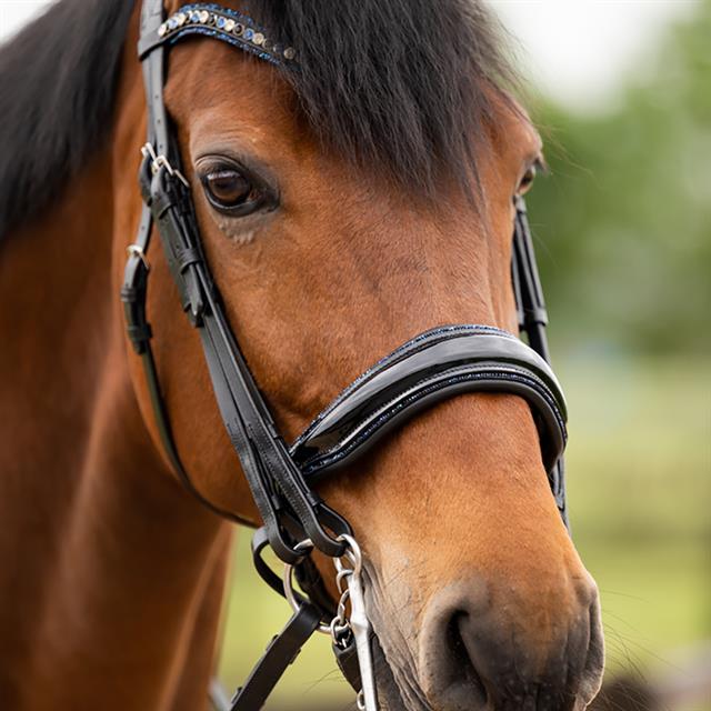 Stang En Trens HB Showtime All You Needed Zwart-blauw