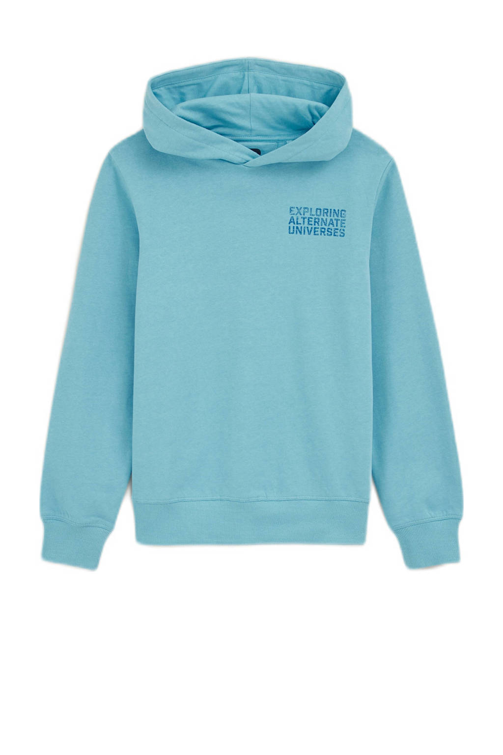 WE Fashion hoodie lichtblauw