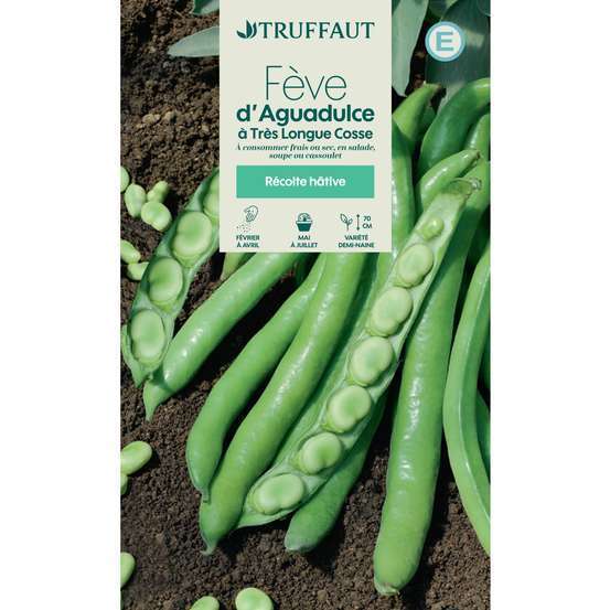 Graines de fève d'aguadulce très Longue Cosse en sachet