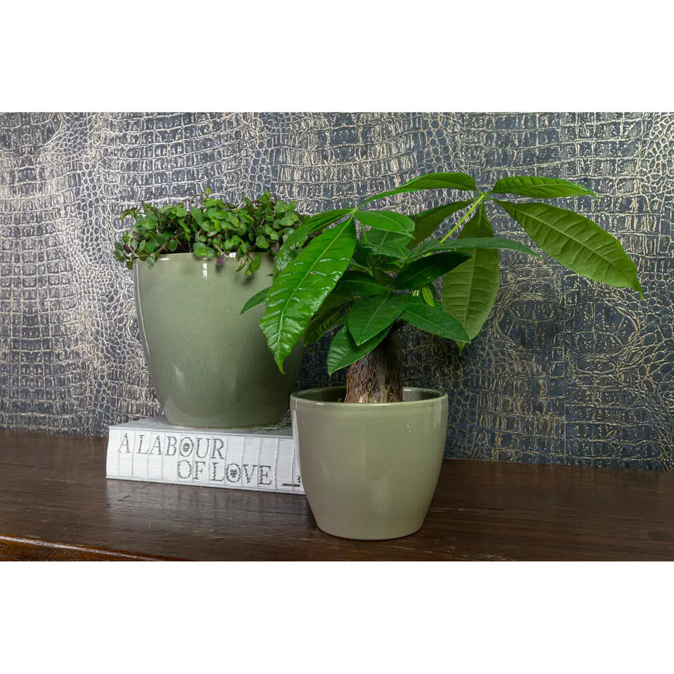 Ter Steege Bloempot - groen - keramiek - glans - 24 x 22 cm