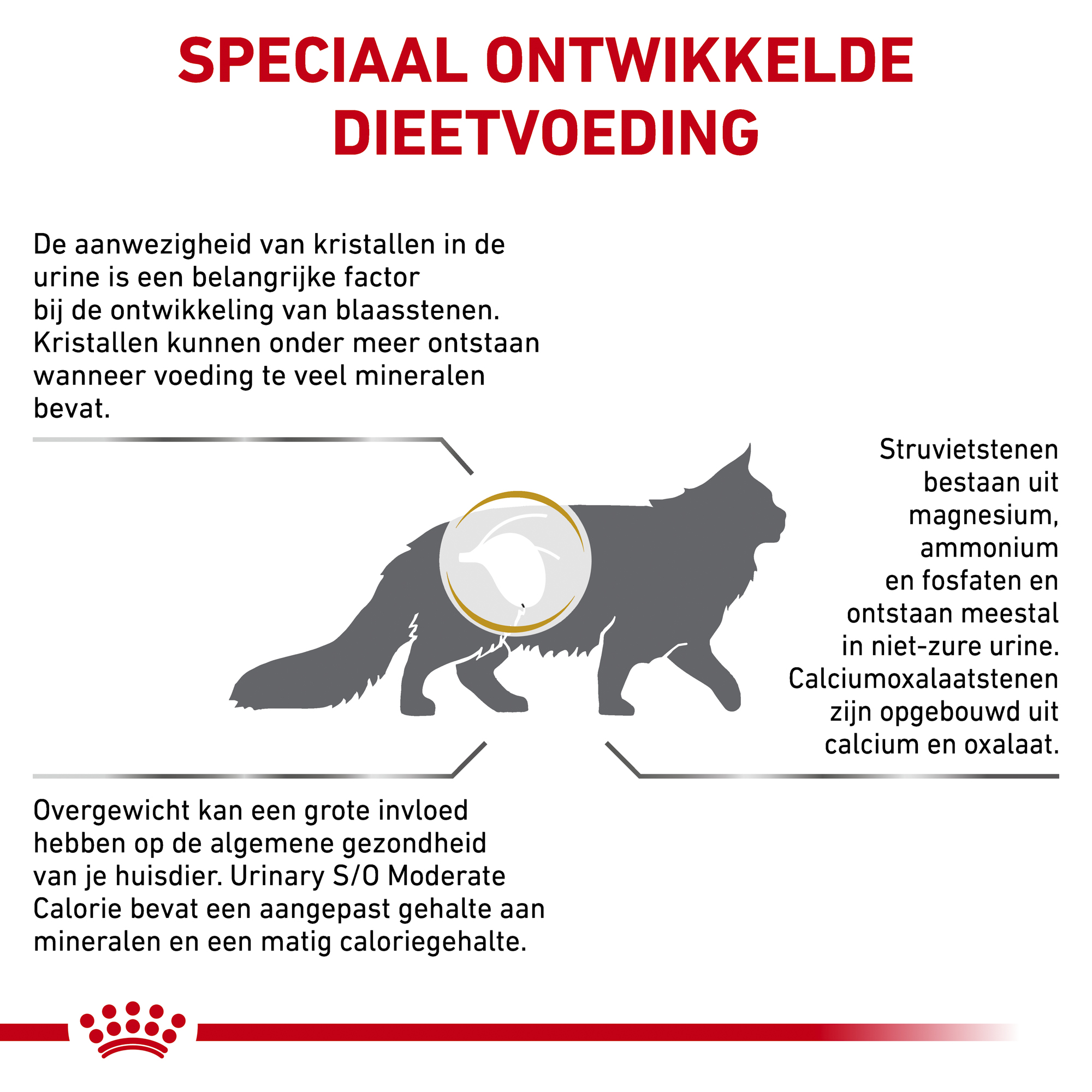 Royal Canin Urinary S/O Moderate Calorie Kat