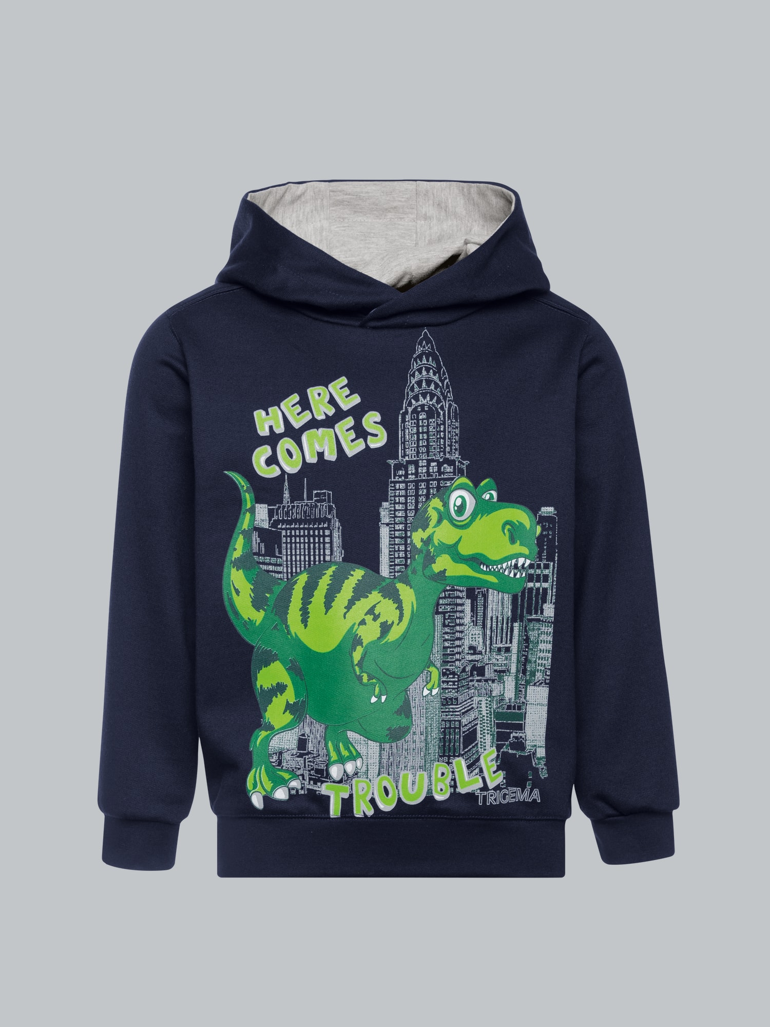 Hoodie mit großem Dino-Printmotiv Navy