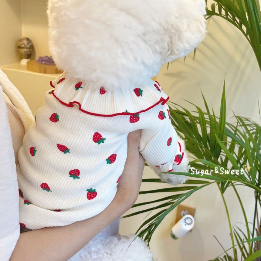 tanvtim - Strawberry Pet Top