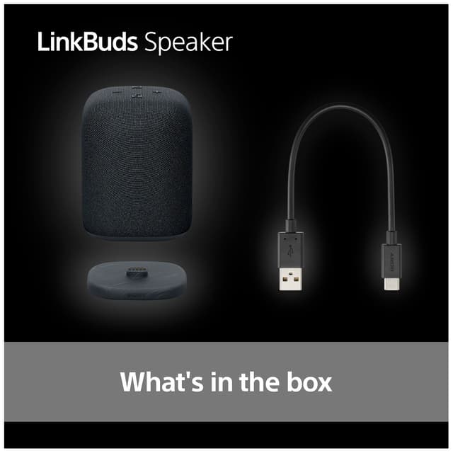 Sony LinkBuds trådløs bærbar højttaler (sort)
