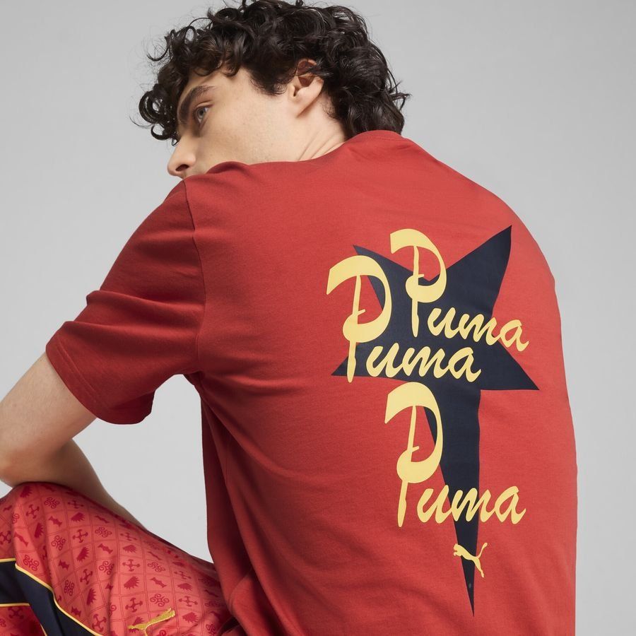 Puma ROAD TO UNITY Graphic T-Shirt