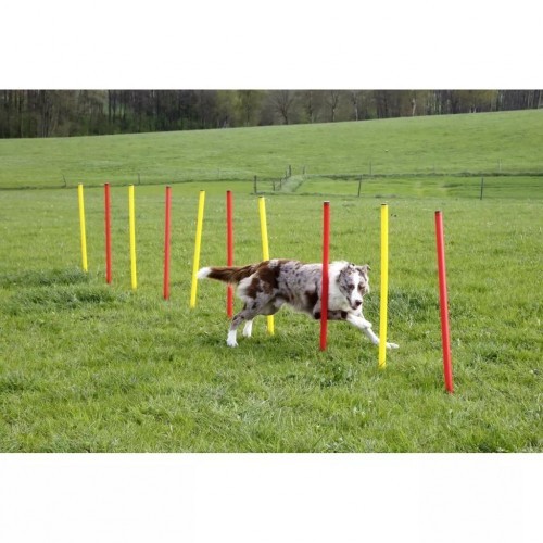 Conjunto de treinamento para cães vermelho e amarelo