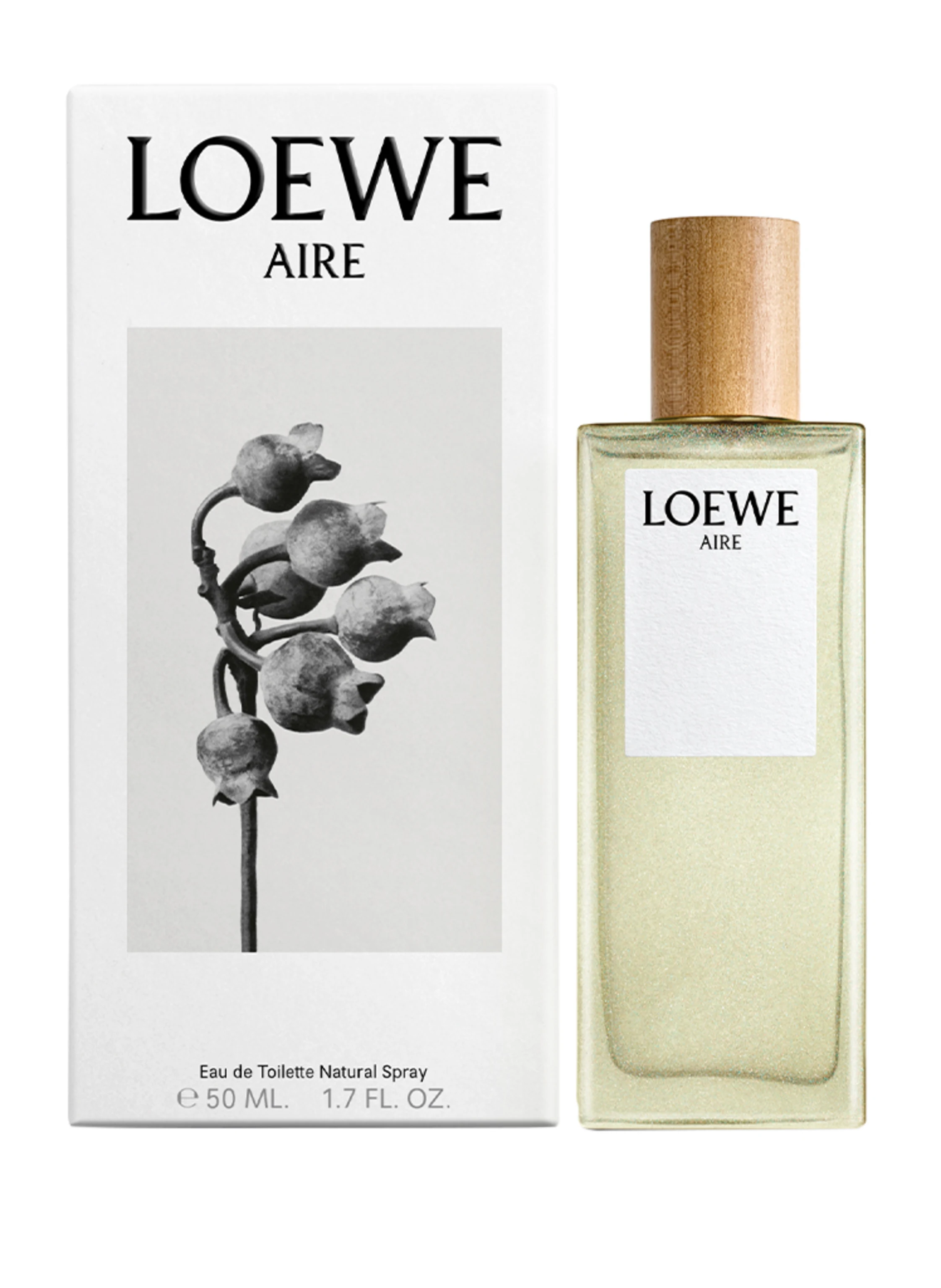 LOEWE AIRE