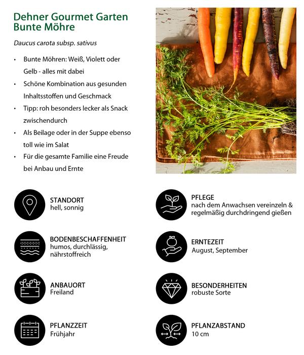 Dehner Gourmet Garten Bunte Möhre, 20er
