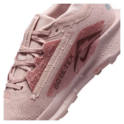 Chaussures Trail Nike Pegasus Trail 5 GTX Rose Femme