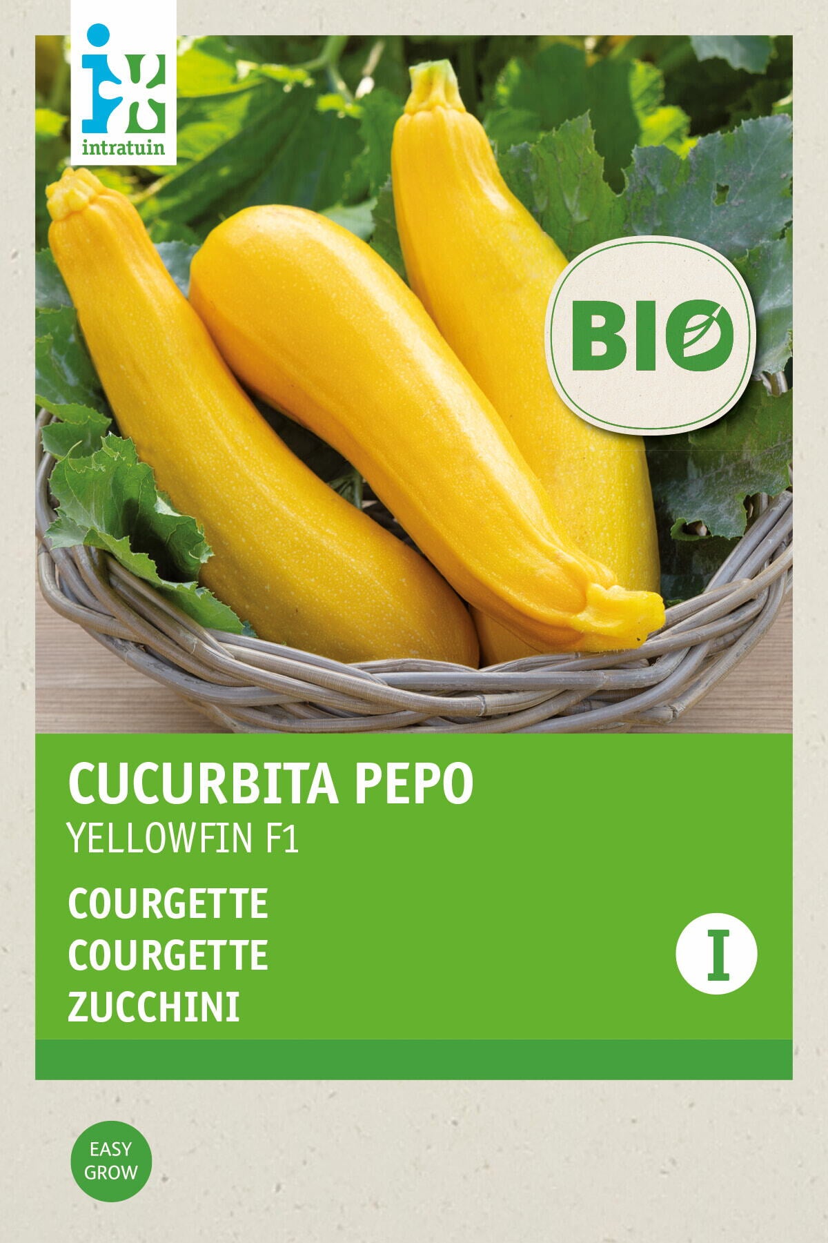 Intratuin Biologisch groentezaad Gele Courgette (Curcurbita pepo 'Yellowfin')