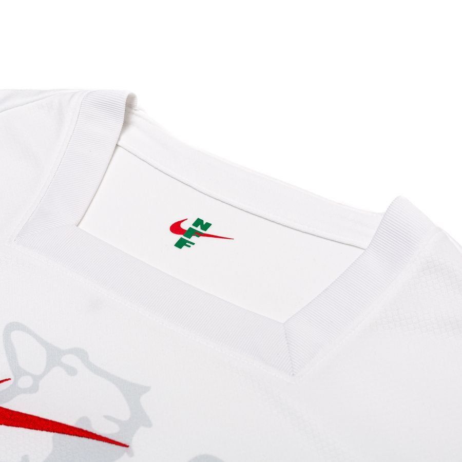 Nigeria Maillot Domicile 2024/25