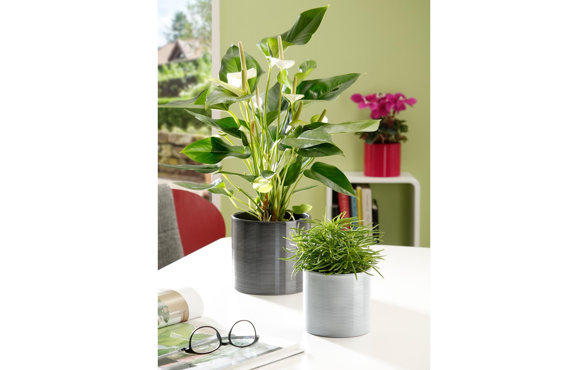 Scheurich Blumentopf »Blumentopf Glass Grau«