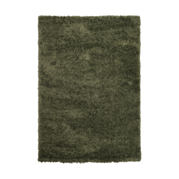 Vloerkleed Sintra Groen 160x230 cm