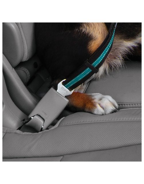 Kurgo Seatbelt Swivel Tether - Hondenautoaccessoire - Blauw Zwart