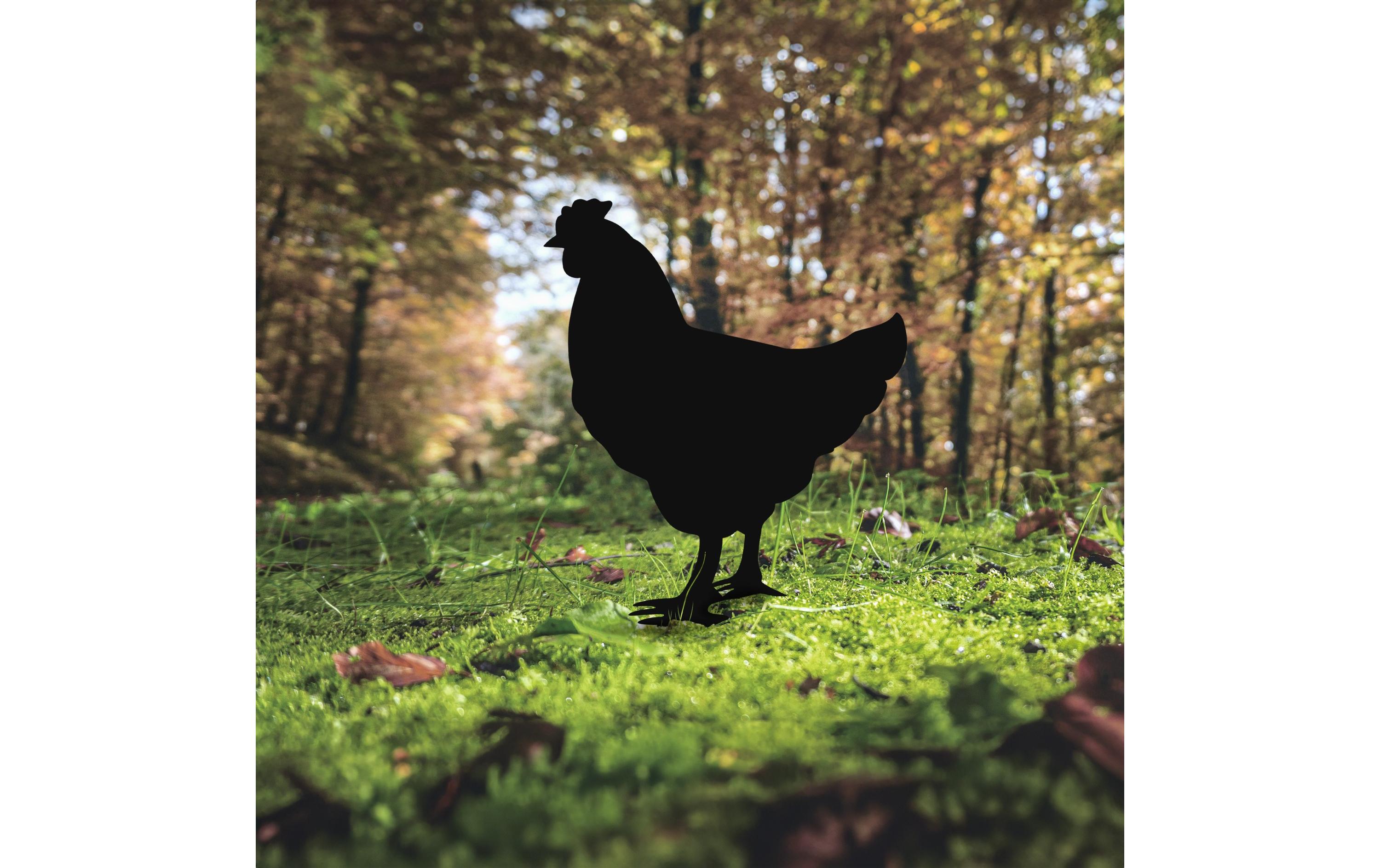 Gartenstecker Chicken 64 x 42 cmGartendekoration