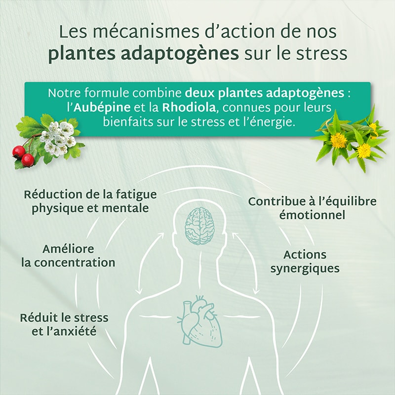 Cure gummies stress - Pomme verte - Sans sucres - 2 mois