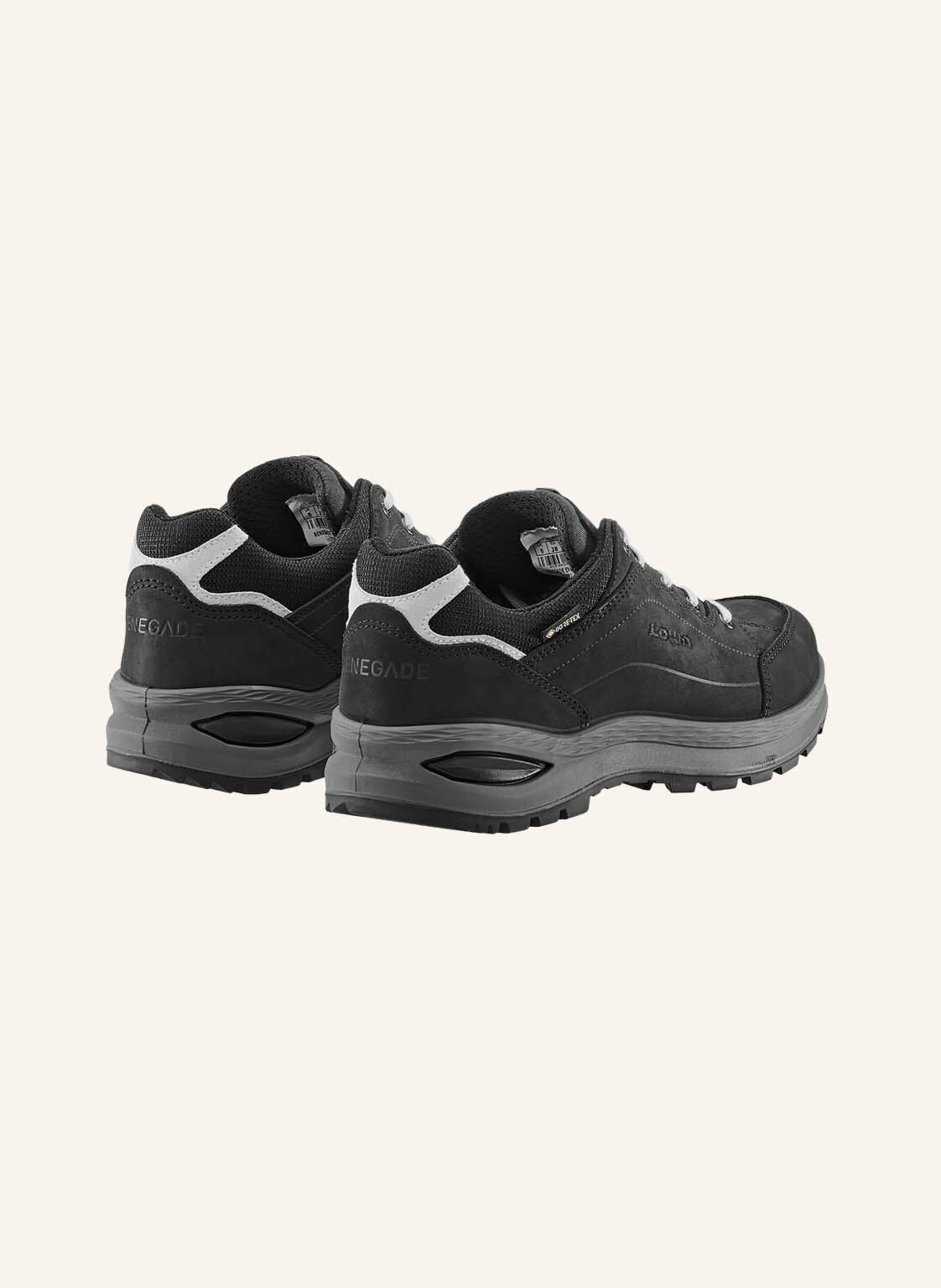 LOWA Wanderschuhe RENEGADE EVO GTX LO