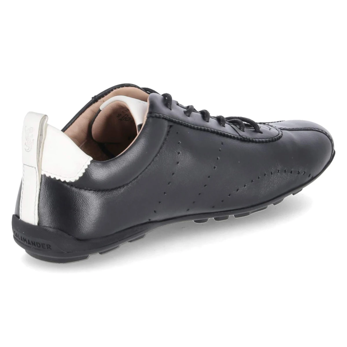 SalamanderLow Sneaker - black / white
