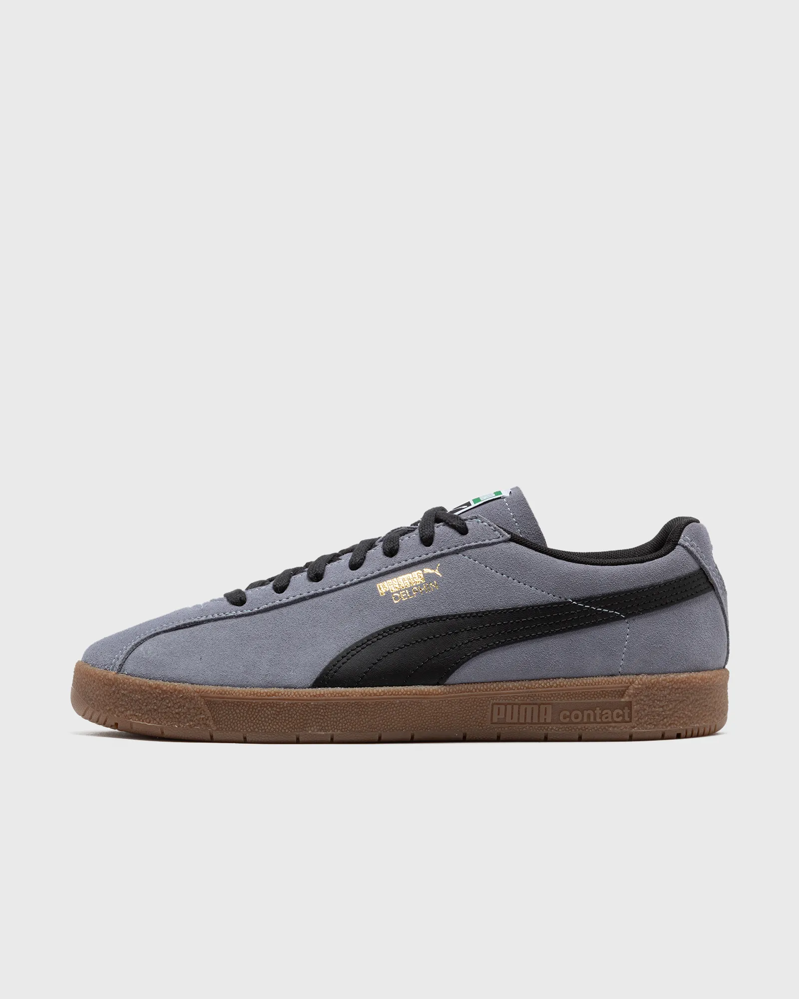 Golfinho Puma