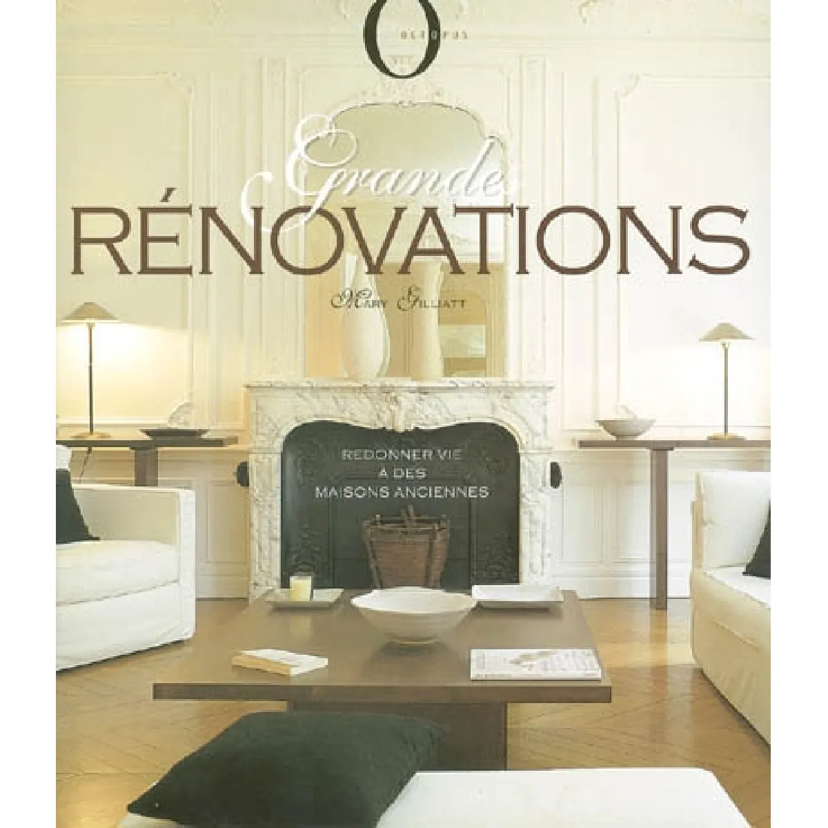 Grandes rénovations : redonner vie à des maisons anciennes · Occasion