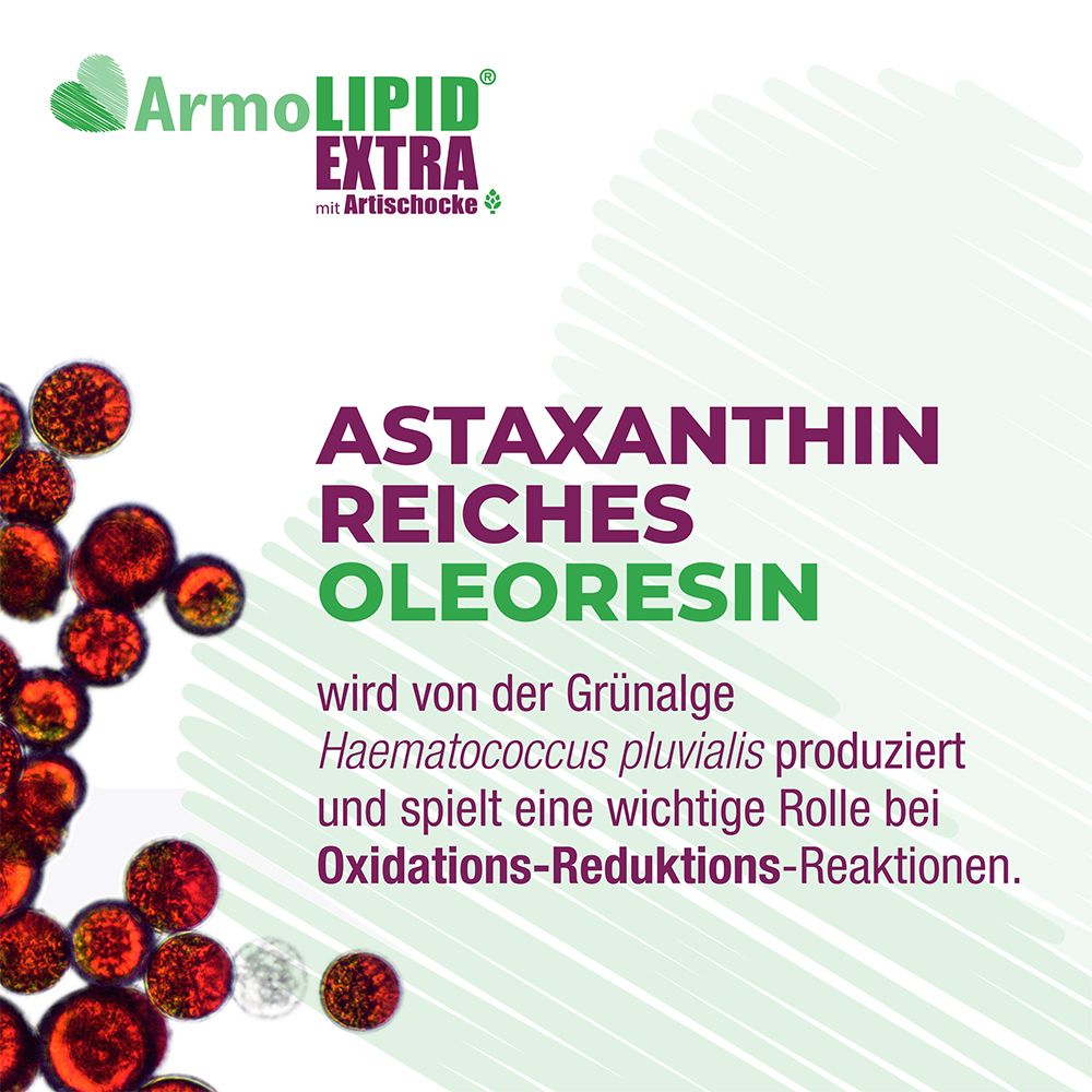 ArmoLIPID® EXTRA mit Artischocke