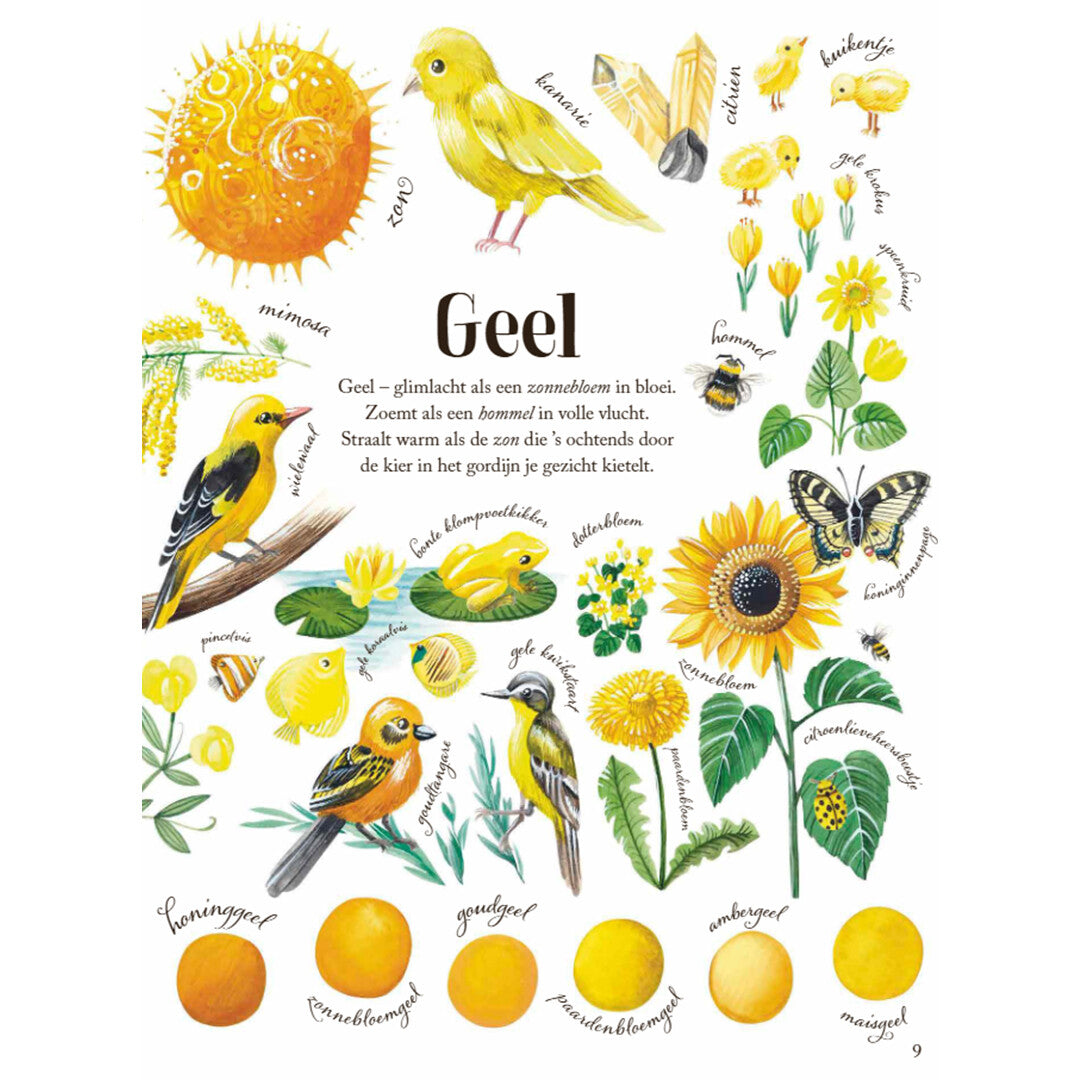 De vier windstreken kleuren in de natuur