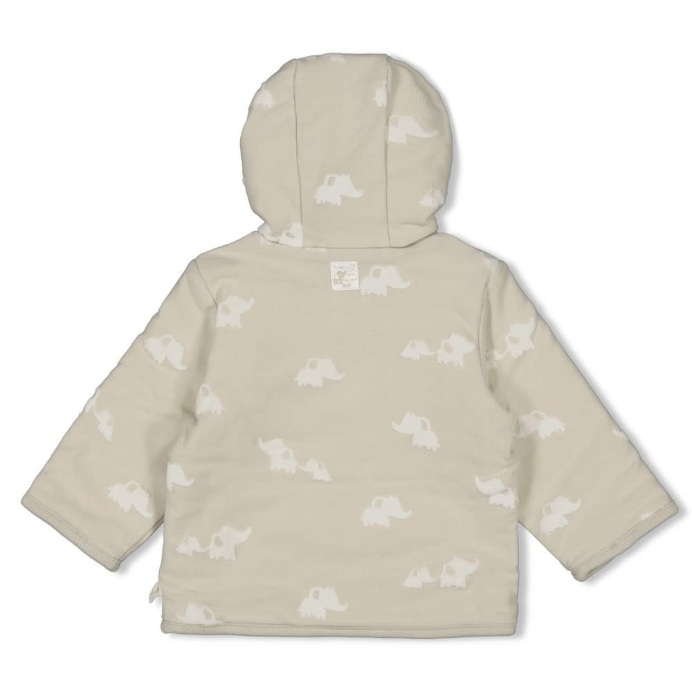 Feetje Feetje omkeerbaar jasje met capuchon ao - Elephant mint
