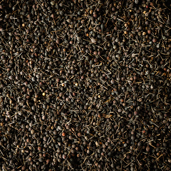 Poivre sauvage Voatsiperifery 3 x 20g Peugeot