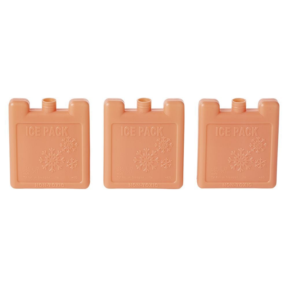 Bloc de glace 100ml x3
