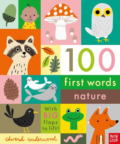 100 First Words: Nature - 100 First Words (Board book)
