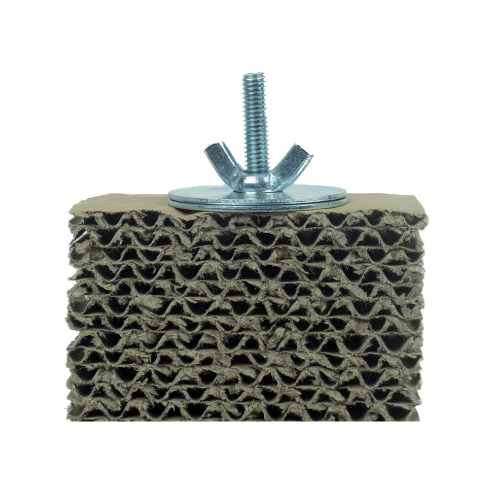 Back Zoo Nature Cardboard Treat Board