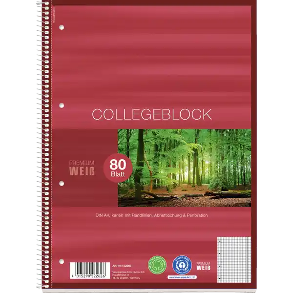 A4 Collegeblock, kariert mit Doppelrandlinien, 80 Blatt