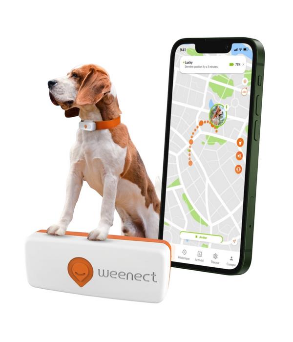 Weenect XS GPS-Tracker für Hunde, ca.