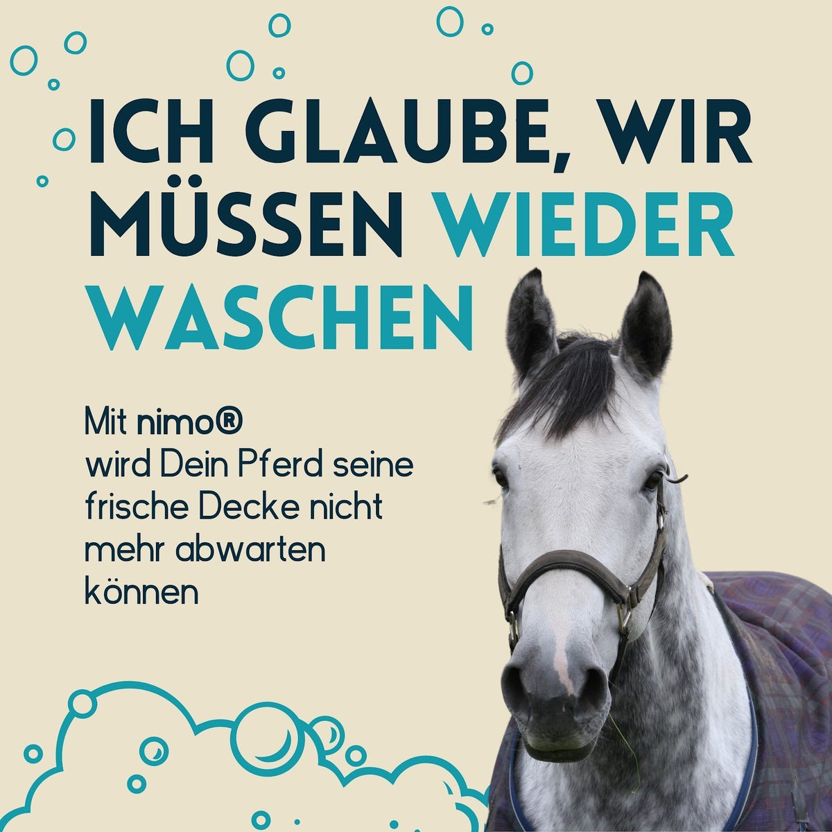 nimo® wasmiddel voor paardendekens • reinigt betrouwbaar zonder geur- en kleurstoffen
