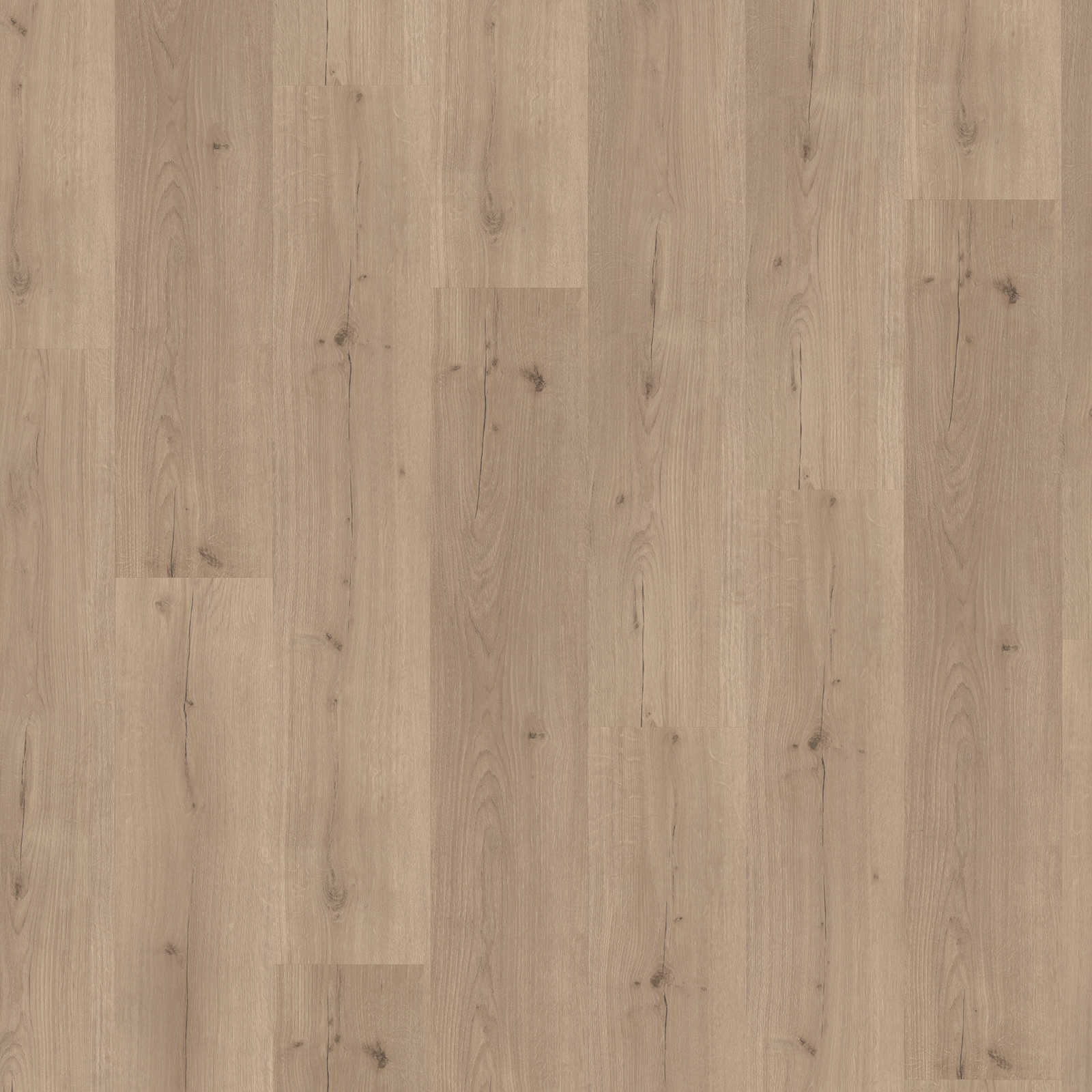 PARADOR Click-Vinyl BASIC 30 - Eiche Infinity grau - 9,4 mm
