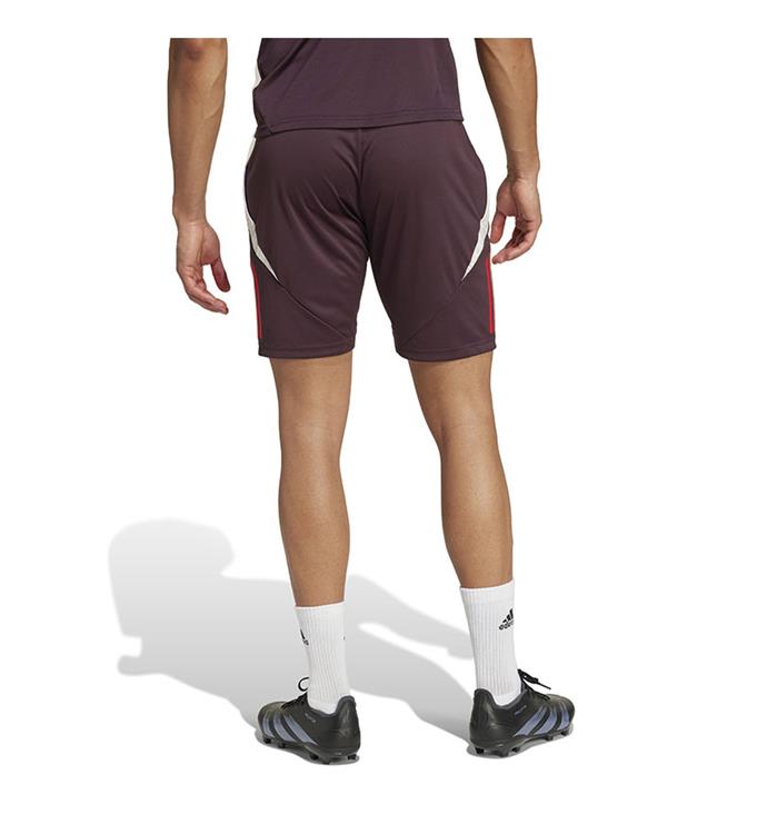 adidas Men FC Bayern Muchen Trainingsshort 2024/2025
