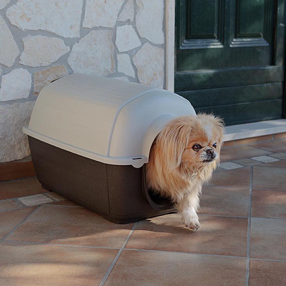 Ferplast niche d'extérieur pour chiens kenny mini, habitat pour chiens en résine thermo-plastique, résistant aux chocs et rayons