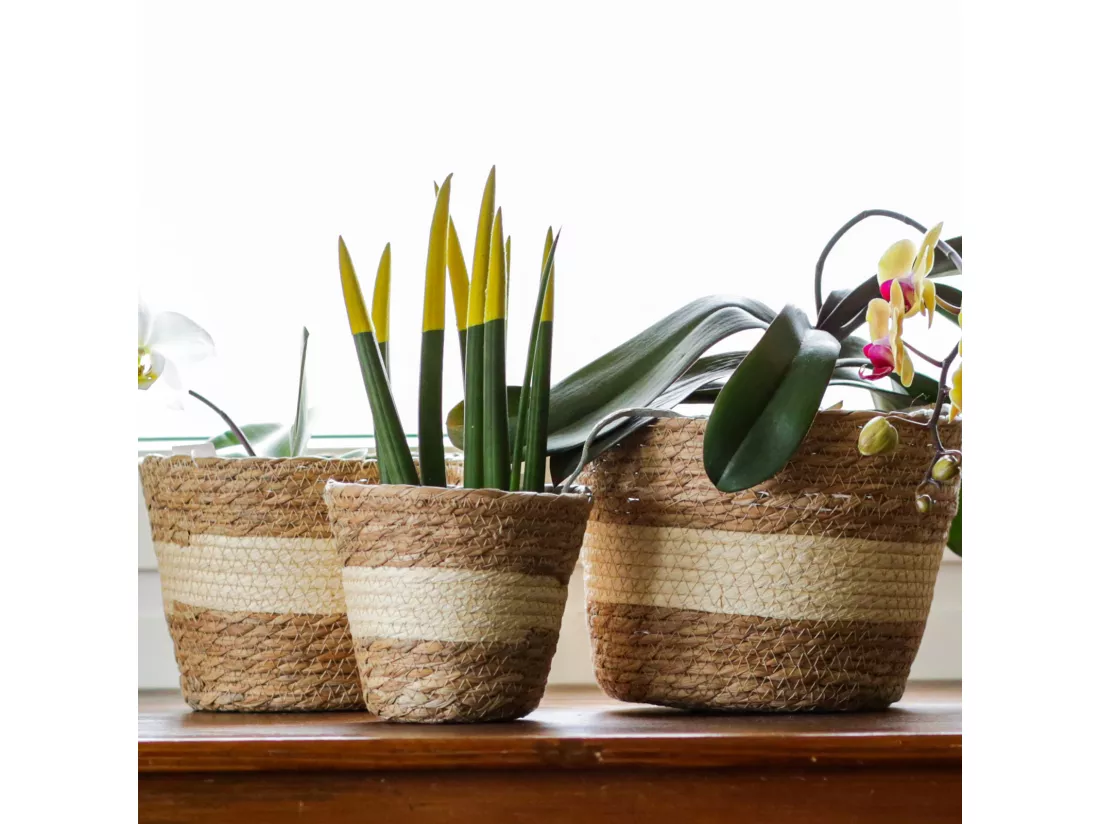 Set 3 Paniers à Plantes d'Extérieur Doublés Quenouilles Marron Beige