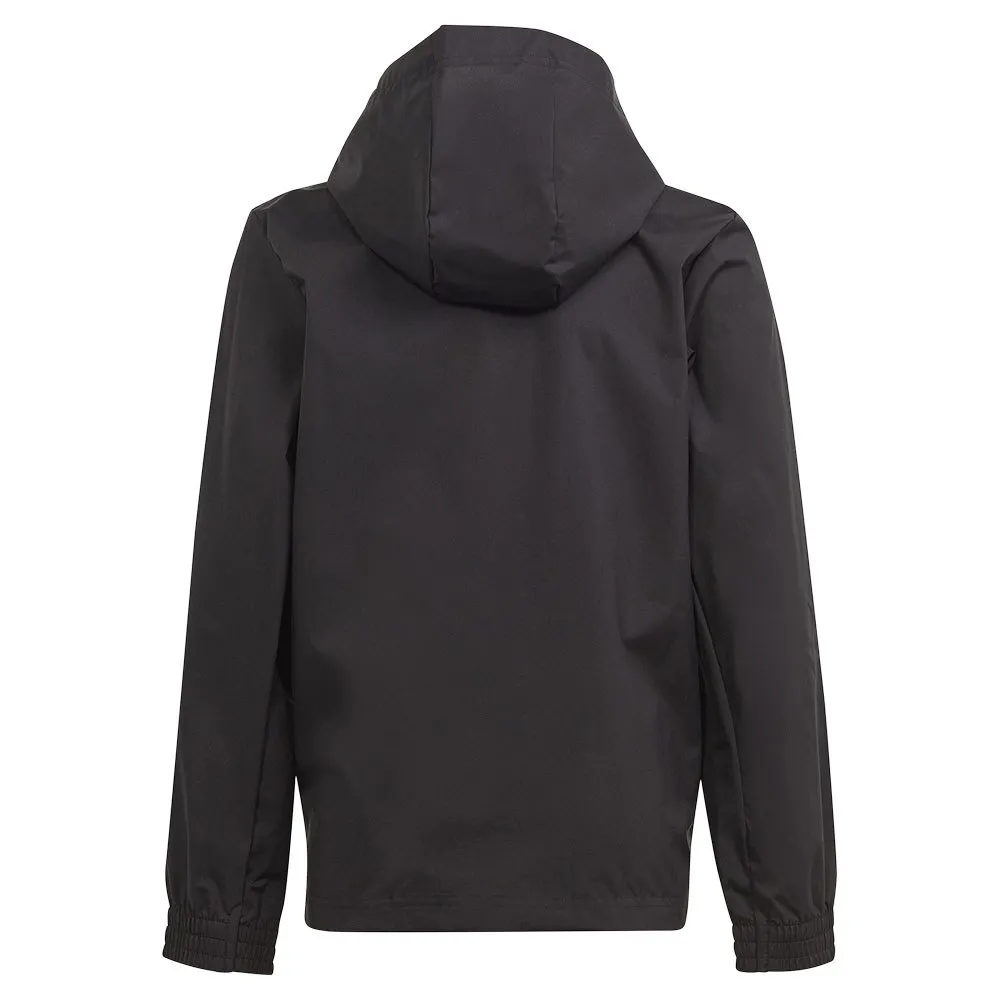 Jaqueta adidas Ent22 AW