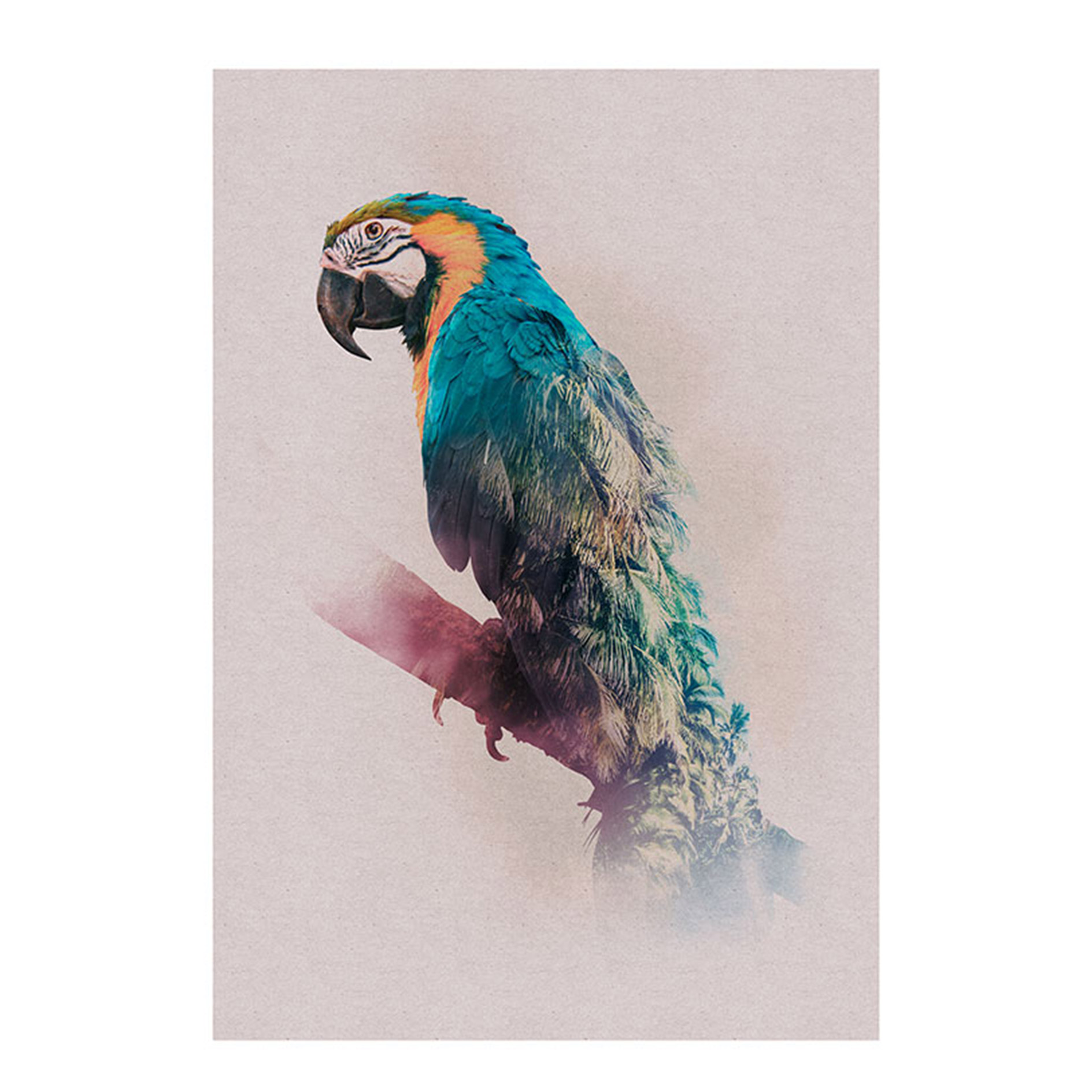 Wandbild ANIMALS PARADISE PARROT - 50x70 cm