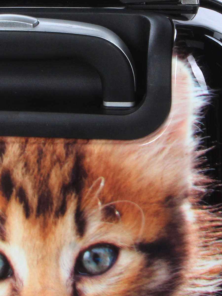 Valise Madisson Chaton 45 cm