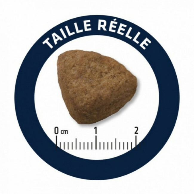 Croquettes Advance Maxi Adult pour chiens
