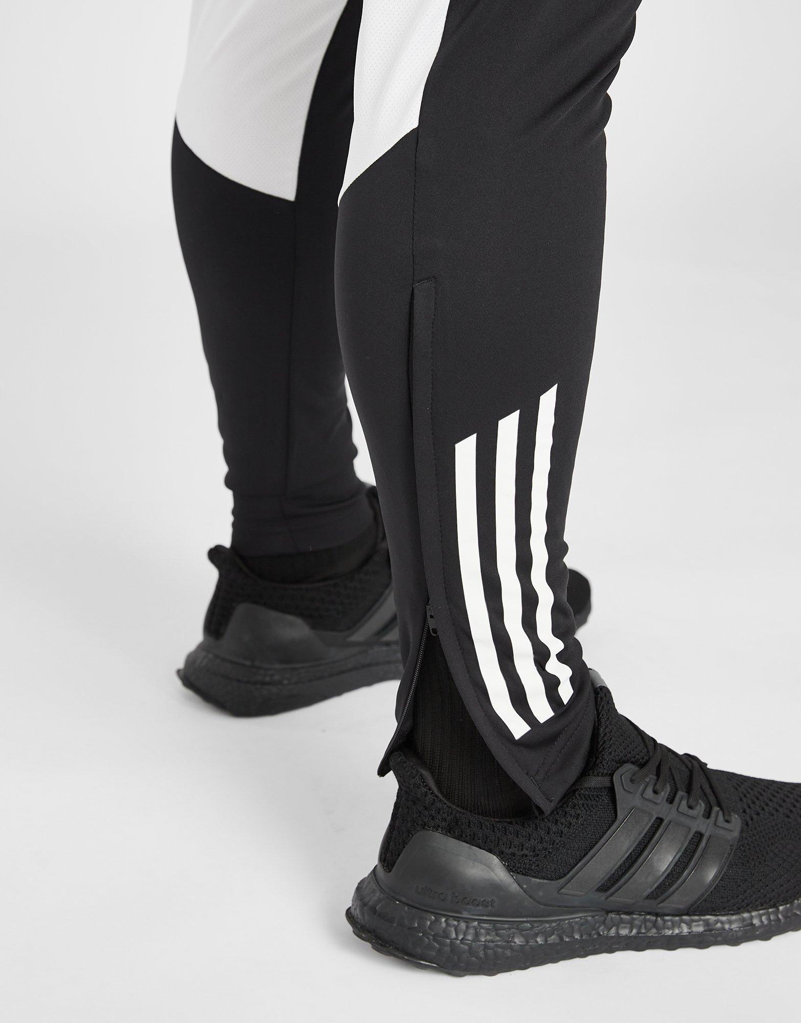 adidas Pantalon d'entraînement Newcastle United FC Homme
